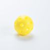 ARTI Indoor Pickleball