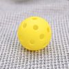 ARTI Indoor Pickleball